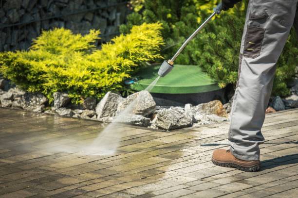 Best Roof Washing  in Myrtle Beach, SC